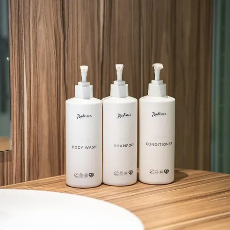Radisson 호텔 4*